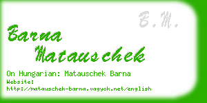 barna matauschek business card